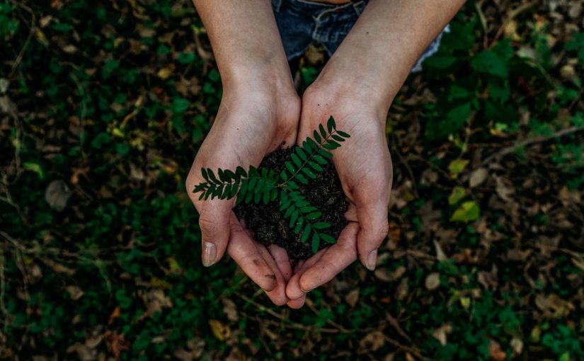 Widening Sustainability Horizons Through Biotech Innovation