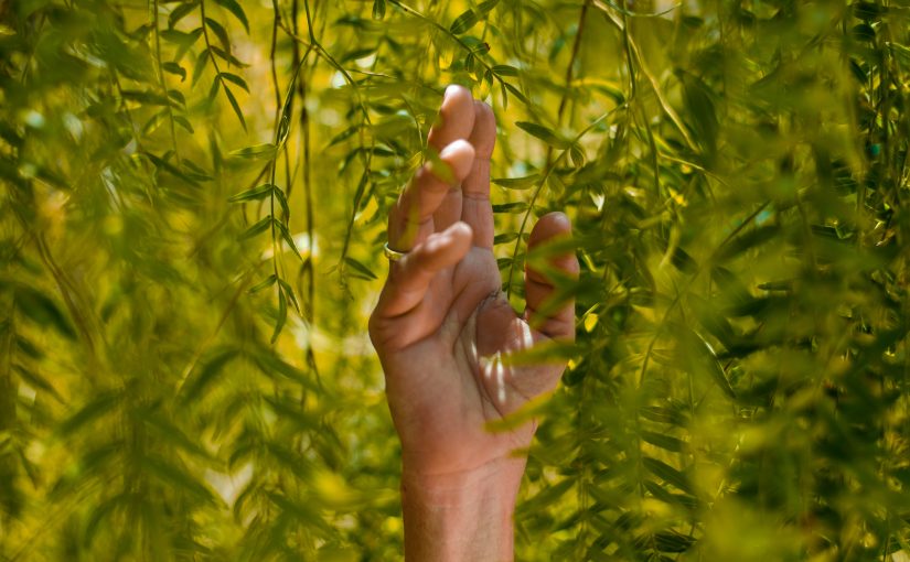 Towards a Sustainable Biotech Industry: Innovations, Challenges and Policy Implications